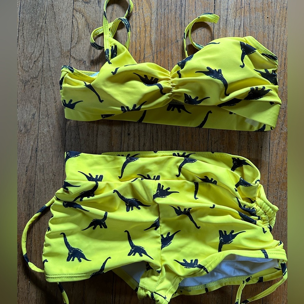 Dinosaur Bathing Suit